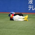 2017年シーズン東京ヤクルトスワローズ（選手・監督・コーチ一覧）